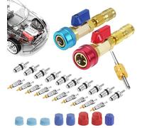 Doiyislem Outil d'Extraction de Noyau de Valve Climatisation, Clé pour Valves Haute et Basse Pression, Kit Rapide Réparation Installation Circuit Refroidissement Véhicule avec Clés