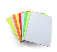 DOJA Barcelona | Cahier 96 Pages | Lot Cahier A4 Agrafé 10 | Cahier 21 29.7 Petit Carreaux | 48 Feuilles Blanches 4x4mm 70 g/m² | Couverture Souple | Couleurs 7 | Cahier A4 | pour Carnet de Notes..