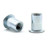 DOJA Industrial | Ecrou a Sertir Aveugle en Acier M6 | PACK 50 | Insert Fileté à Tete Plate Rainure | Rivets idéaux pour la menuiserie, la construction, la plomberie, entre autres utilisations.