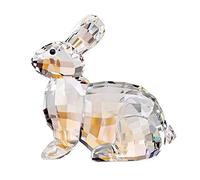 DOJOZ Lapin en cristal - Figurine de collection - Cadeau d'anniversaire - Décoration d'intérieur - Blanc