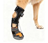 DOKKOME Aide à la correction des articulations des chiens, chaussures orthèse pour chien, aide à corriger les problèmes de pied, rehausseur d'orteils sûr, améliore la marche et la course, taille XL