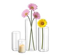 DOKKOME Lot de 4 petits vases en verre - Style vintage - Transparent
