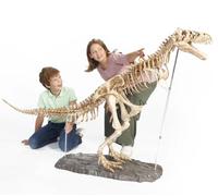 DOKTOR FUN - Mega T-Rex - Le squelette d'un dinosaure T-Rex - Modèle réaliste - Avec une dimension de 120 × 180 cm - 60 pièces - Musée à la maison - Pour tous les âges