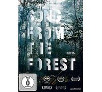 Dokumentation - Song from the Forest