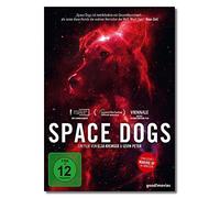 Space Dogs – Documentaire – DVD – 375 Media