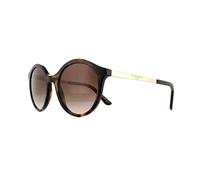 Dolce & Gabbana DG4358 502 13 Havane Dégradé Brun 50 MM Femmes Lunettes de
