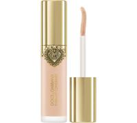 Dolce&Gabbana Everlast Concealer correcteur longue tenue teinte 01 Light - Neutral Undertones 11 ml