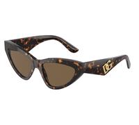 Dolce & Gabbana Femme Dolce & Gabbana DG4439 502/73 Lunettes de soleil Acétate Tortue Marron Cat Eye Normale