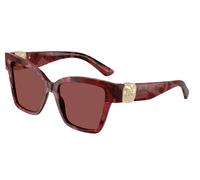 Dolce & Gabbana Femme DG4470 346375 Lunettes de soleil Acétate Rouge Violet Carré Normale