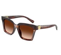 Dolce & Gabbana Femme DG4498 322274 Lunettes de soleil Acétate Rouge Marron Carré Normale Ombré