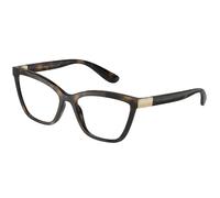 Dolce & Gabbana Femme DG5076 502 Montures optiques Nylon Tortue Transparent Cat Eye Normale