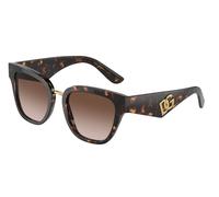 Dolce & Gabbana Femme Dolce & Gabbana DG4437 502/13 Lunettes de soleil Acétate Tortue Marron Papillon Normale Ombré