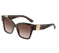 Dolce & Gabbana Femme Dolce & Gabbana DG4470 502/13 Lunettes de soleil Acétate Tortue Marron Carré Normale Ombré
