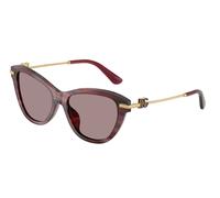 Dolce & Gabbana Femme Dolce & Gabbana DG4534 3474LA Lunettes de soleil Acétate Violet Violet Papillon Normale