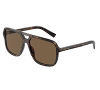 Dolce & Gabbana Homme Dolce & Gabbana DG4354 502/73 Lunettes de soleil Acétate Tortue Marron Carré Normale Ombré
