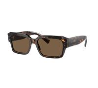 Dolce&Gabbana Homme Sunglass DG4460 - Couleur du Monture: Havana, Couleur de Lentille: Marron foncé