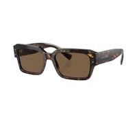 Dolce & Gabbana - Lunettes de soleil carrées pour hommes - Homme - Accessoires - Brun - Taille: 56 MM