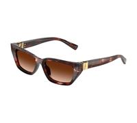 Dolce & Gabbana - Lunettes de soleil œil de chat - Femme - Accessoires - Multicolore - Taille: 53 MM
