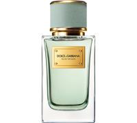 Dolce&Gabbana Velvet Infusion Eau de Parfum Eau de Parfum mixte 100 ml