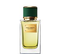Dolce&Gabbana Velvet Vetiver Eau de Parfum 100 ml