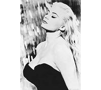 Dolce Vita, la Poster Anita Ekberg Version 2 + accessoires