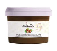 Dolcincasa-com Pâte de Noisettes Torréfiées 100% Pure Crème à Tartiner pour Glace Café et Diverses Utilisations en Confiserie Décorations Remplissages Sans Gluten sans Epaississants 500 Grammes