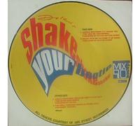 DOLCIS SHAKE SHAKE SHAKE YOUR BOOTIE - MIX 90 DANCE 12" SINGLE UK GEE STREET