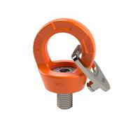 Dolezych Boulon à œil professionnel avec œillet DLR, capacité de charge 7000 kg, filetage M36 x 54 mm