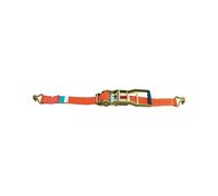 Dolezych Sangle d'amarrage DIN EN 12195-2 longueur 8 m largeur 50 mm avec roc...