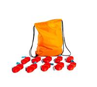 Dolezych - Sangles d'arrimage 1 pièce, 10 sangles à boucle de serrage de 25 mm, 2 m de long, 250 daN de traction dans un sac de gym Dolezych Premium