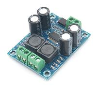 DollaTek Module amplificateur Audio Mono XH-M311 60W Carte d'amplificateurs Audio numériques DC8-24V Mini TPA3118