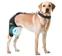 Dollephi Genouillère pour chien pour patte arrière déchirée du LCA, soutien pour luxation de la rotule ou arthrose, lésion du ligament croisé, enveloppe antidérapante découpée pour favoriser la