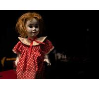 Dolls [Edizione: Regno Unito] [Import]