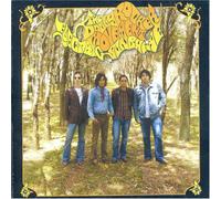 Dolly Rocker Movement - Electric Sunshine