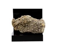 Dolomite + Pyrite. 1165.0 Ct. Mas Dieu, Mercoirol, Gard, France.