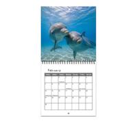 Dolphin 2027 Calendar - Monthly Wall Planner, Crisp Glossy Paper, Scenic Se | Whole Year Wall Monthly Calendar 2027 Monthly Calendar Dolphin Classroom Dining Room Dorm Bedroom Study Students Teens Adults