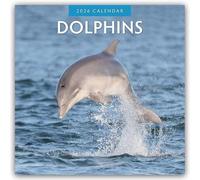Dolphins 2026 Square Wall Calendar