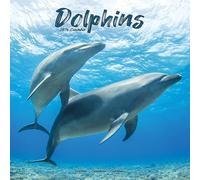 Dolphins Calendar 2026 Square Animal Wall Calendar - 16 Month