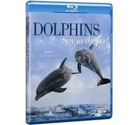 Dolphins: Spy In The Pod