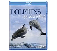 Dolphins Spy in the Pod (Blu-ray)