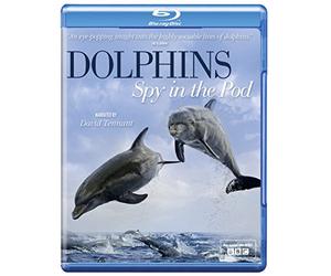 Dolphins Spy in The Pod [Blu-Ray] [Import]