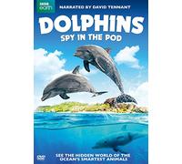 Dolphins: Spy in The Pod [Edizione: Stati Uniti] [Import]