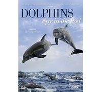 Dolphins Spy in The Pod [Import]