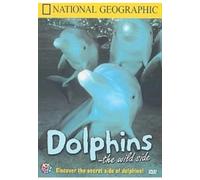 Dolphins-the Wild Side