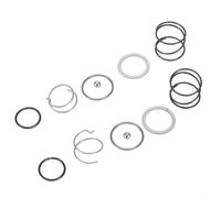 Dolvitrny Lot de 2 ressorts en métal pour porte-embout de tournevis avec bille en acier - Accessoire compatible DCF885 DCF886, remplacement de composants d'outil électrique interne