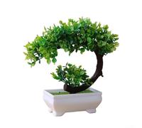 Dolvitrny Petites plantes artificielles en pot, 19 cm - Mini bonsaï artificiel - Pour décoration de maison, bureau, fausse verdure en plastique nécessitant peu d'entretien, pas d'arrosage (C)