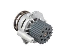 DOLZ A251 Pompe à eau