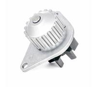 DOLZ C114 Pompe à eau