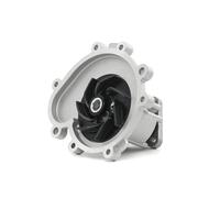 DOLZ P500 Pompe à eau