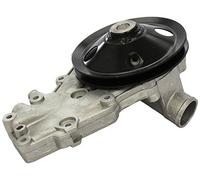 Dolz R159 Pompe à eau